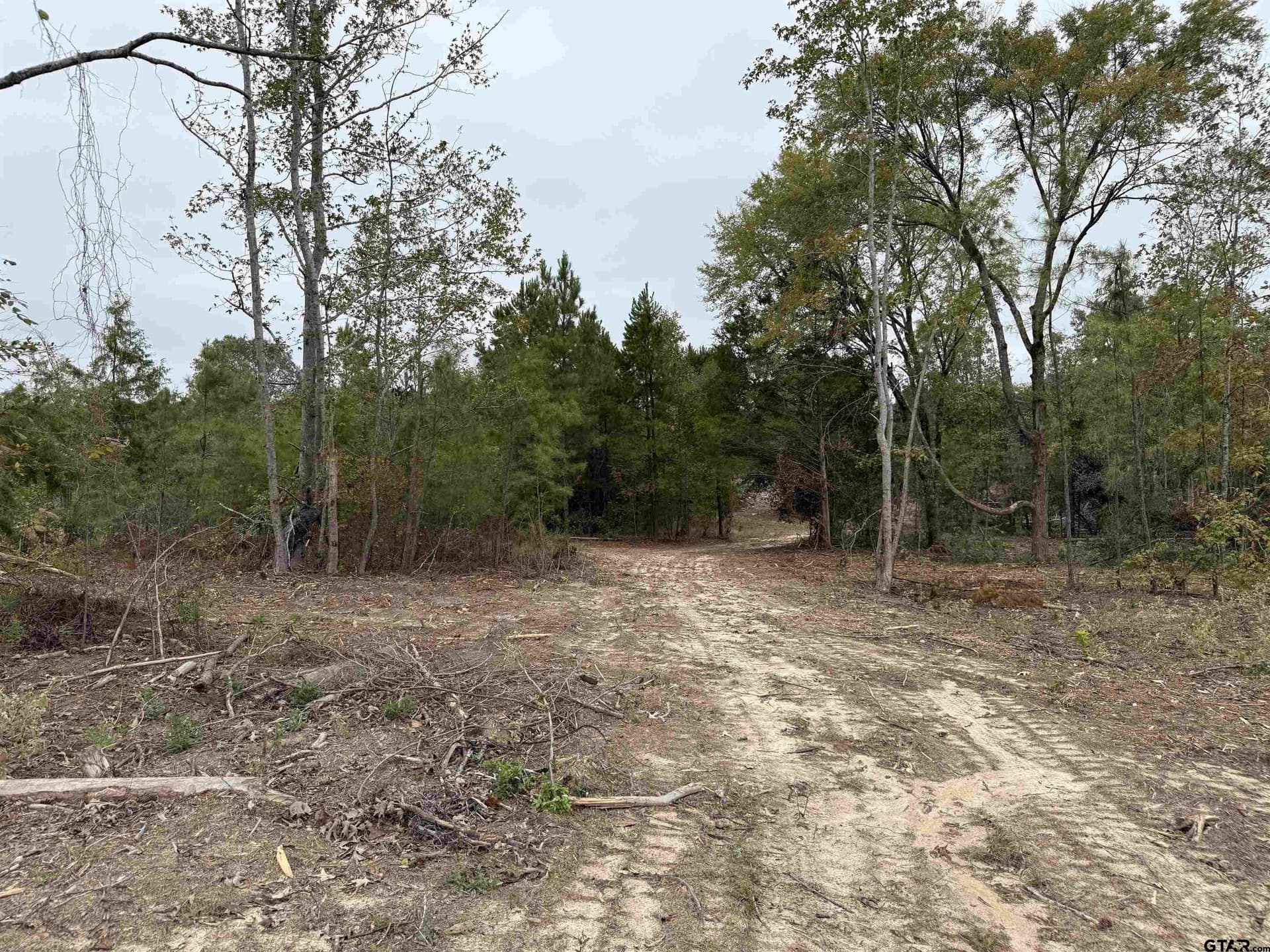 15.36 acres in Rusk County - photo 13