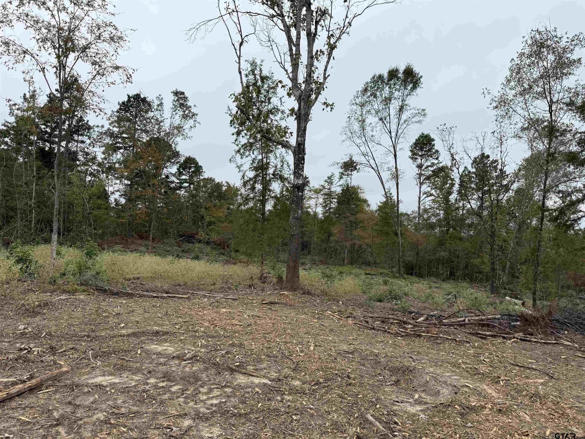 15.36 acres in Rusk County - photo 10
