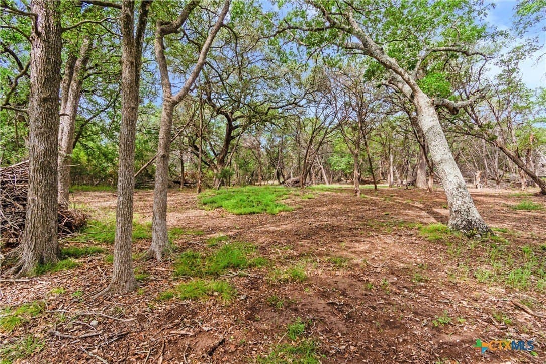 5 acres in Hays County - photo 32