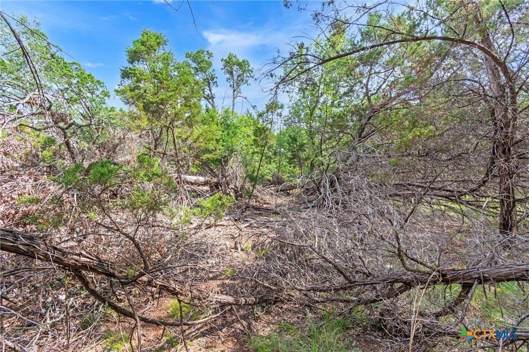 5 acres in Hays County - photo 26