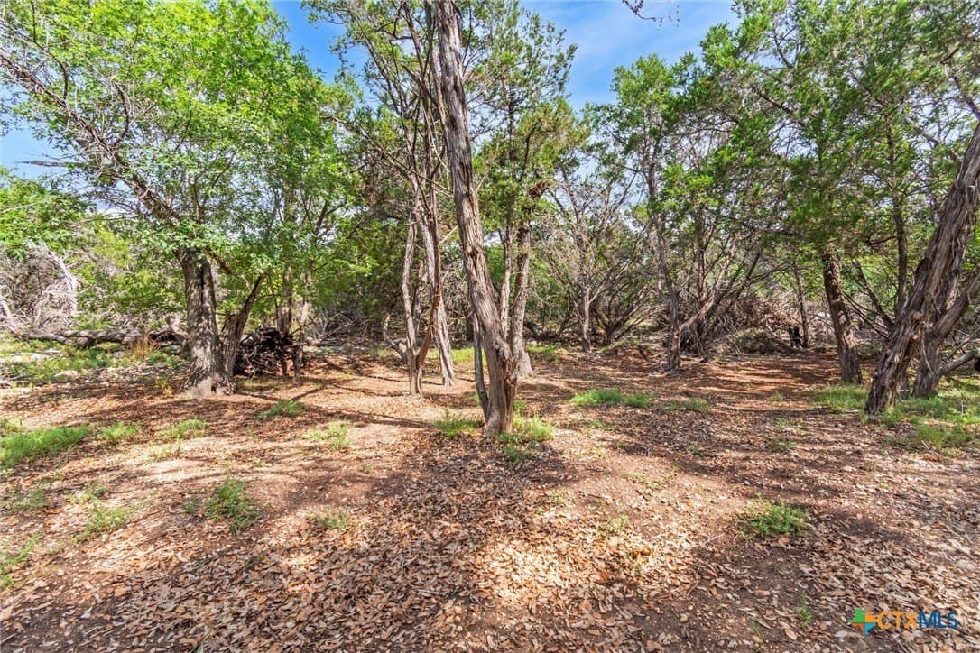 5 acres in Hays County - photo 28