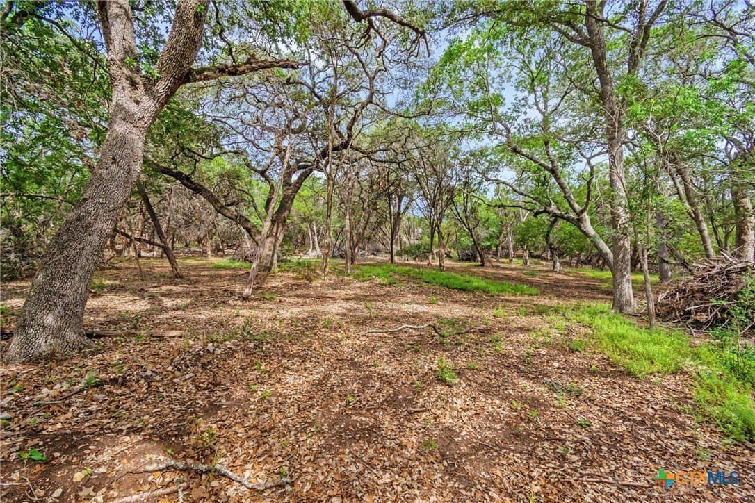 5 acres in Hays County - photo 37