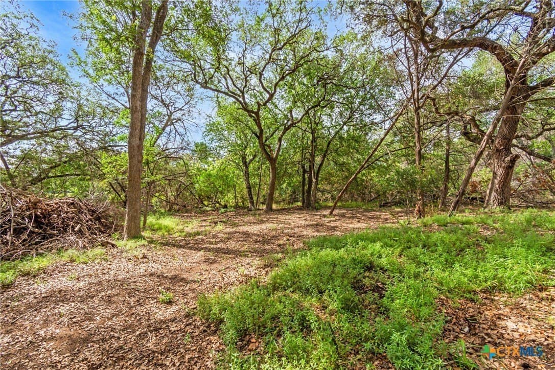 5 acres in Hays County - photo 36