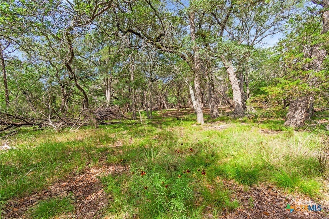 5 acres in Hays County - photo 33