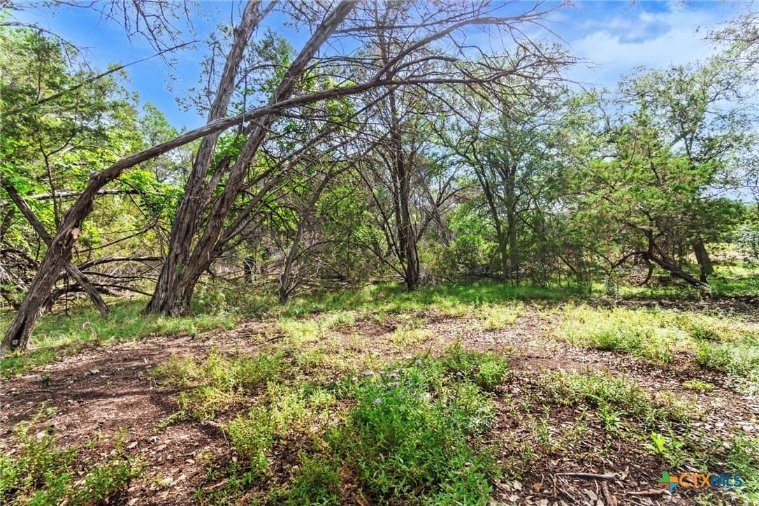 5 acres in Hays County - photo 29