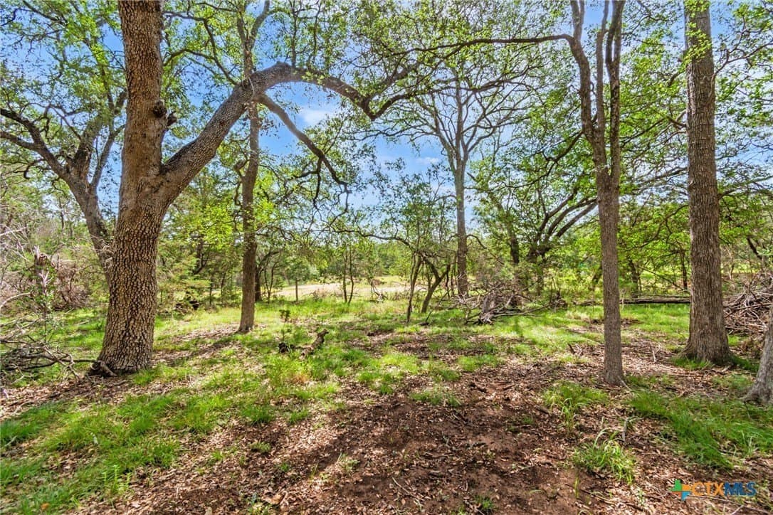 5 acres in Hays County - photo 34