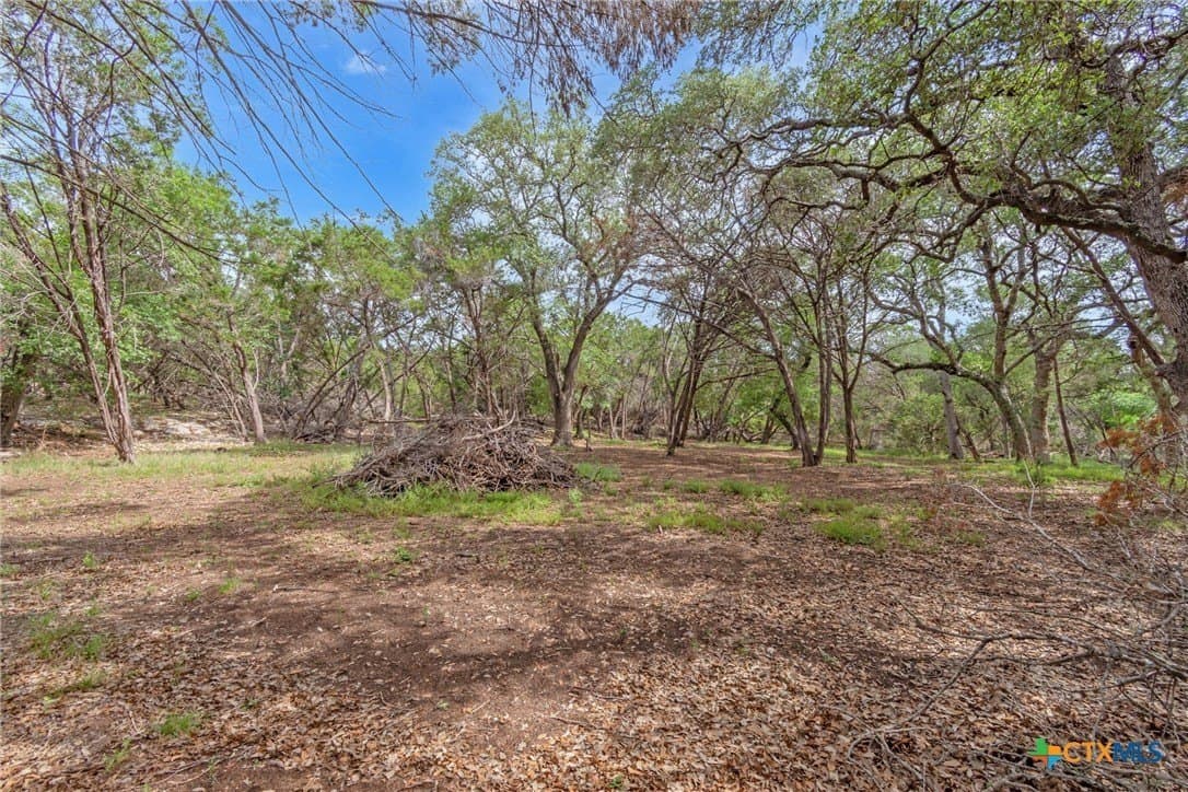 5 acres in Hays County - photo 20