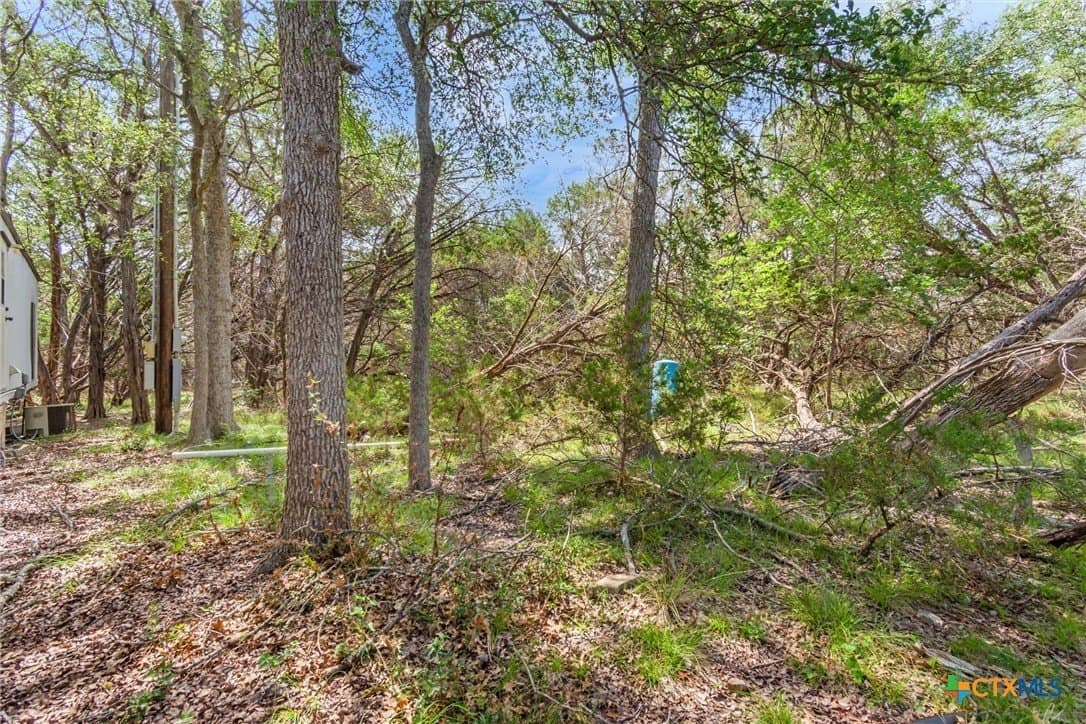 5 acres in Hays County - photo 23