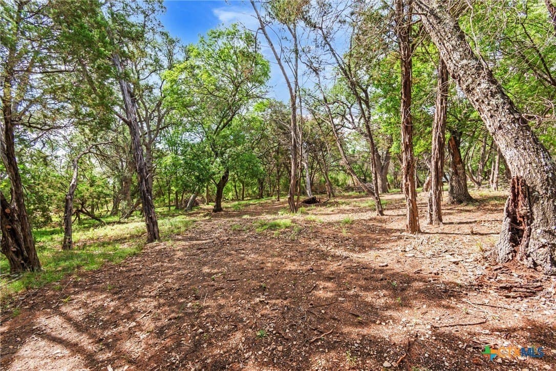 5 acres in Hays County - photo 30