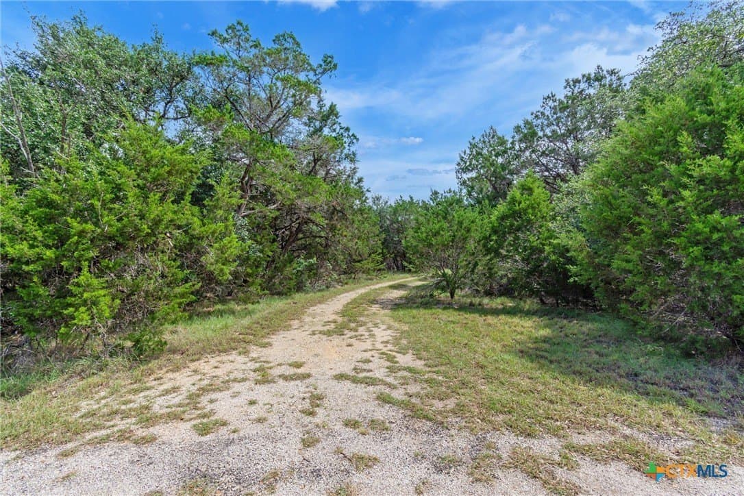 5 acres in Hays County gallery image 2