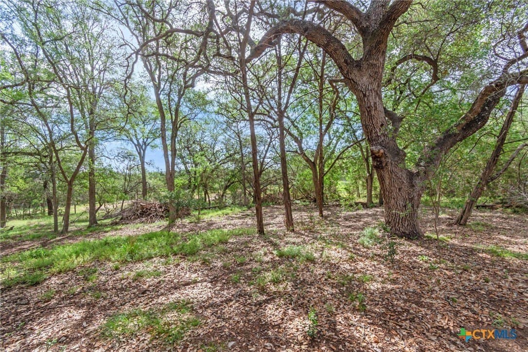 5 acres in Hays County - photo 35