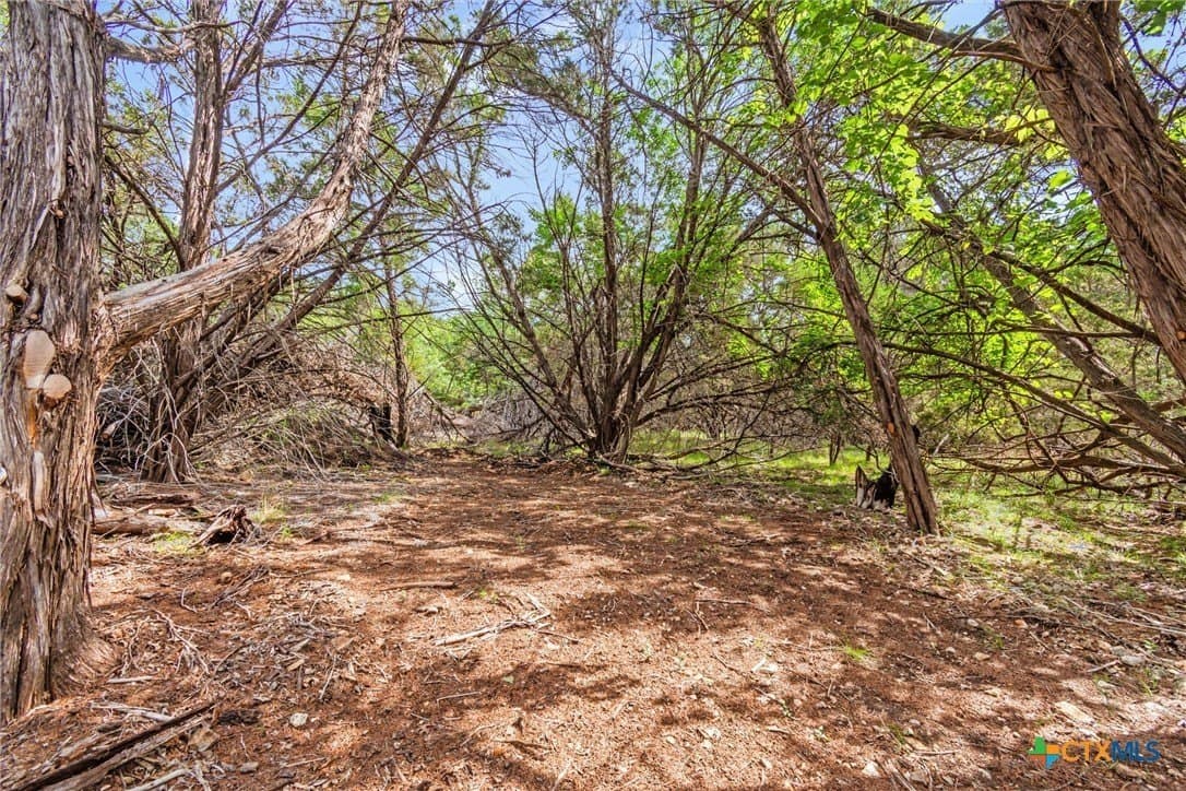 5 acres in Hays County - photo 27