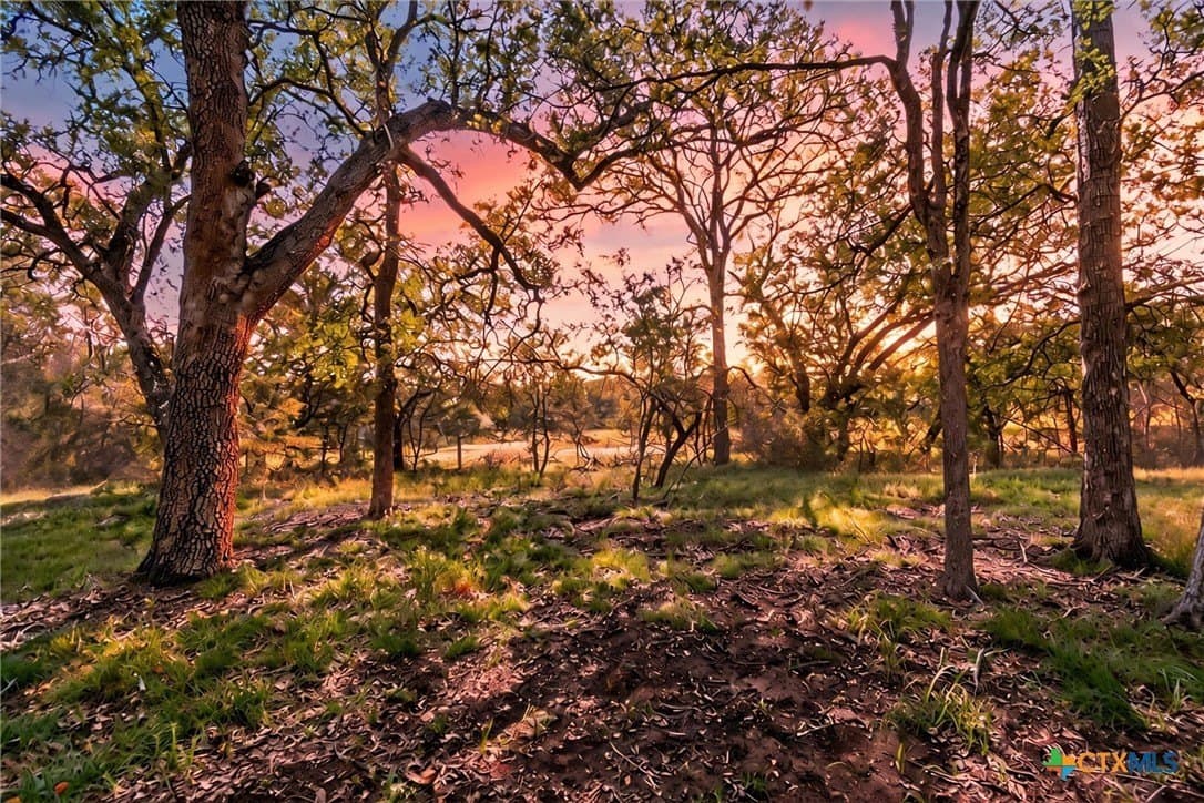 5 acres in Hays County - photo 19