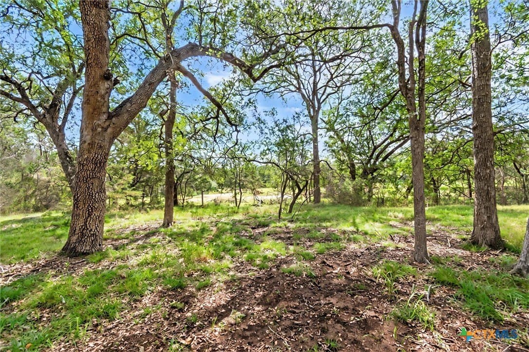 5 acres in Hays County - photo 21