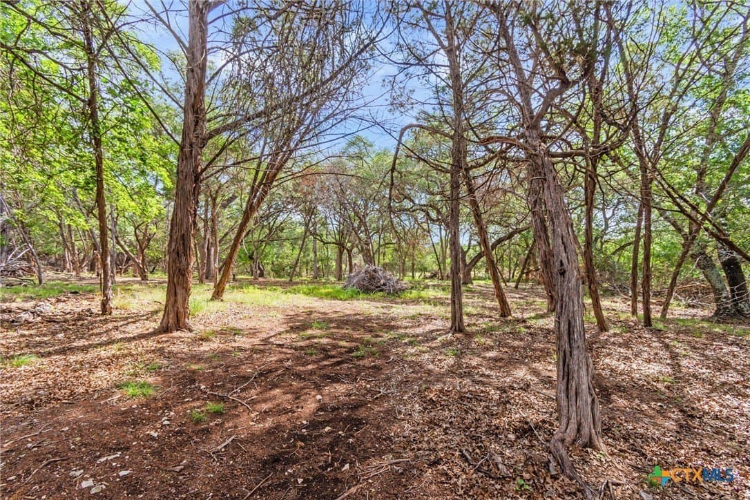 5 acres in Hays County - photo 25