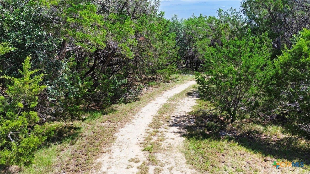 5 acres in Hays County gallery image 3