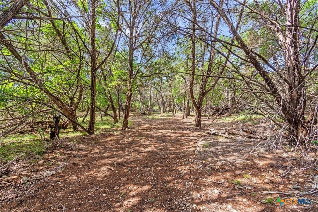 5 acres in Hays County - photo 31
