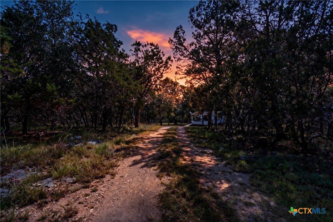 5 acres in Hays County gallery image 4