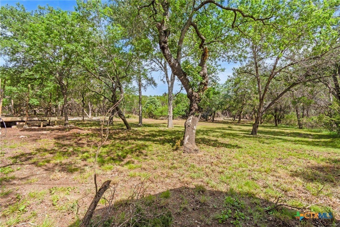 5 acres in Hays County - photo 22