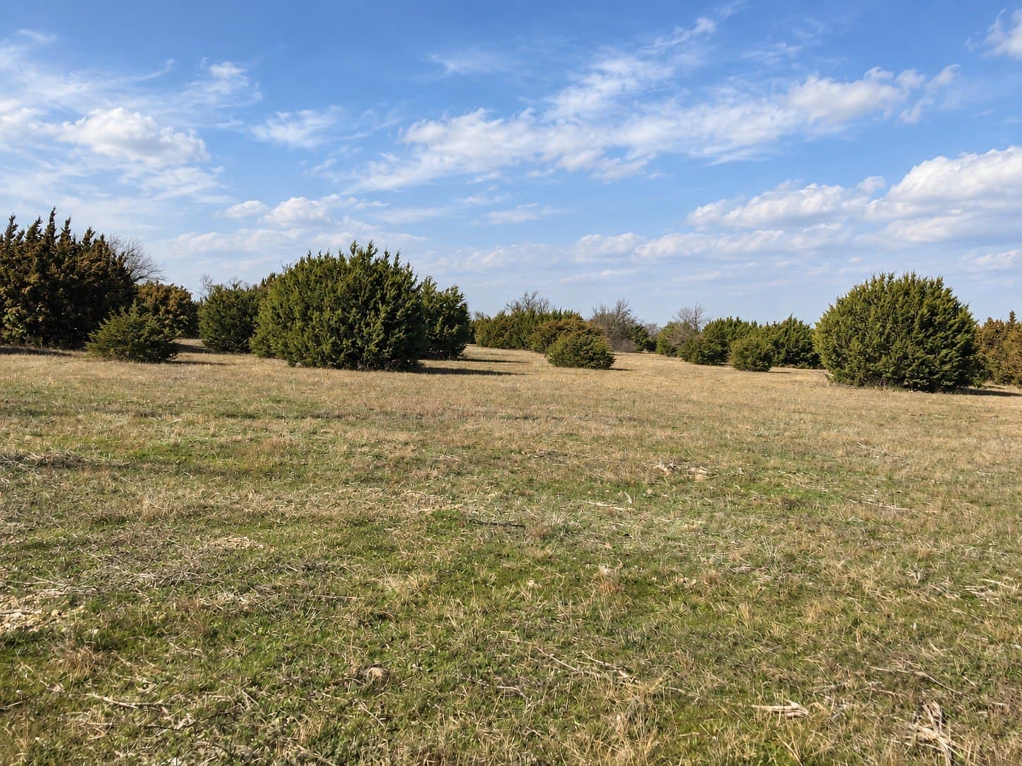 5 acres in Hill County - photo 2