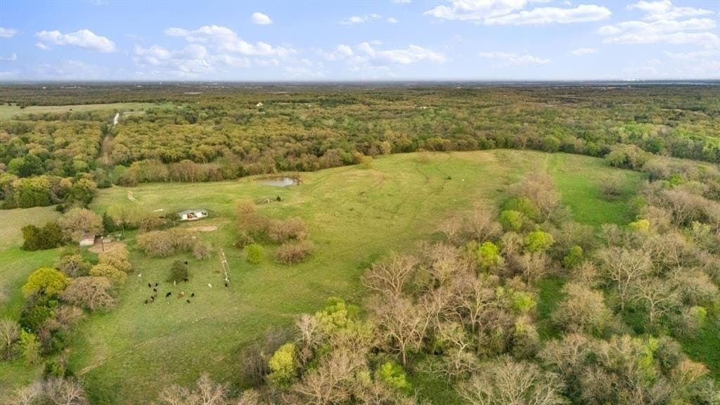 73.3 acres in Cooke County gallery image 4