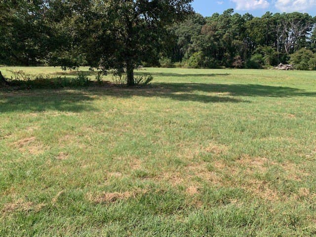 26.13 acres in Cherokee County - photo 5