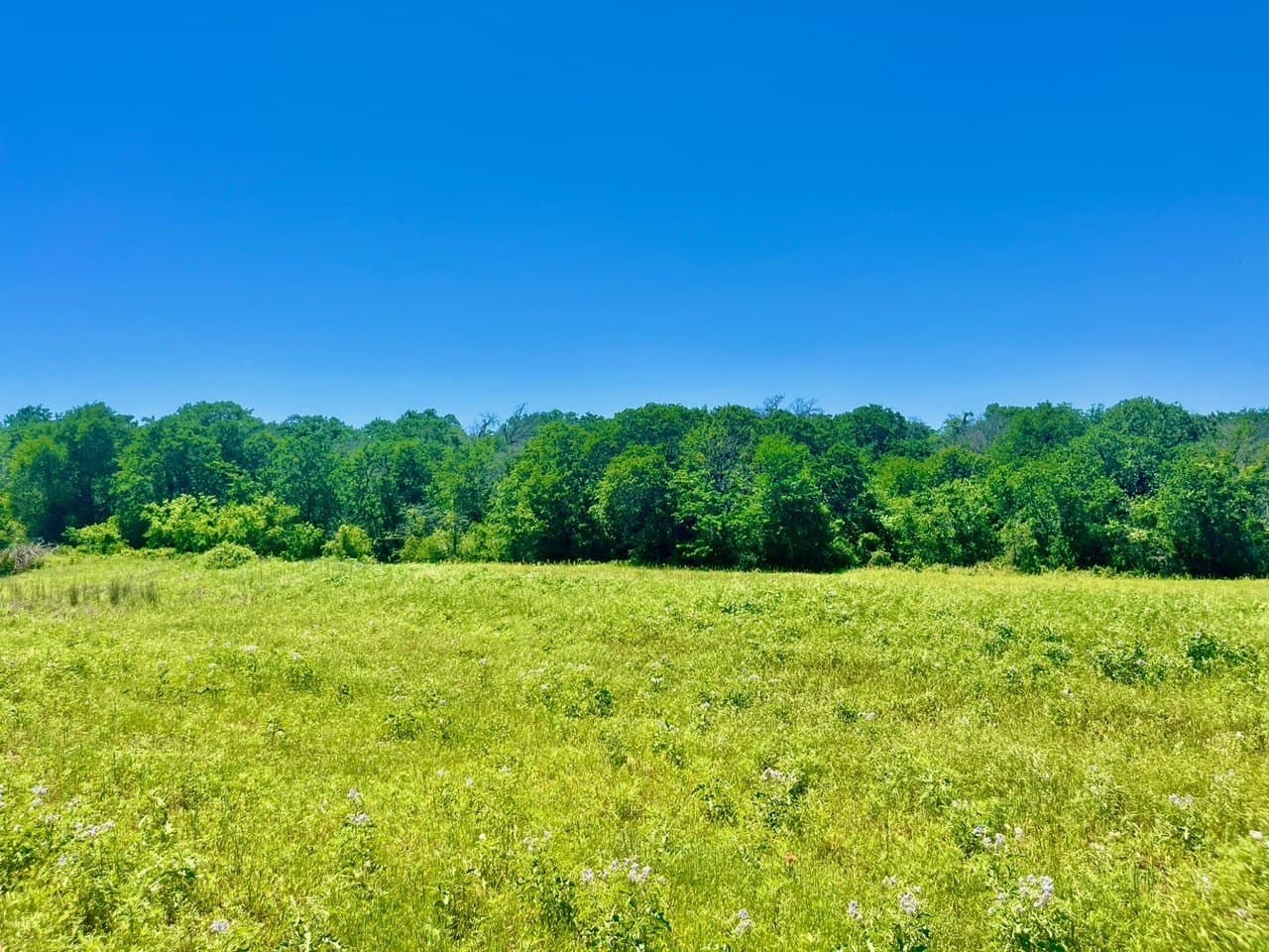 2.22 acres in Parker County - photo 2