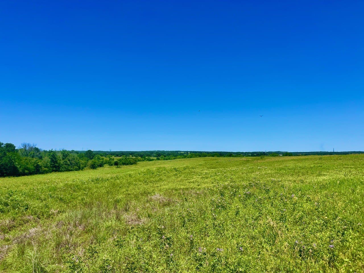 2.22 acres in Parker County - photo 3