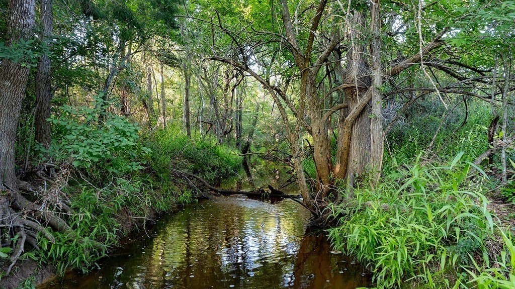 3.75 acres in Milam County - photo 8