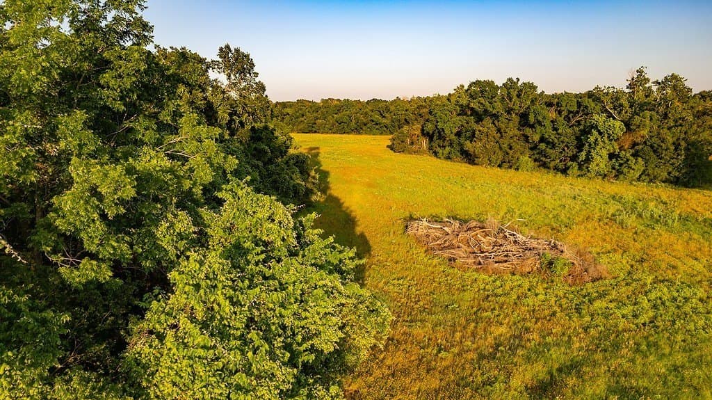 3.75 acres in Milam County gallery image 2