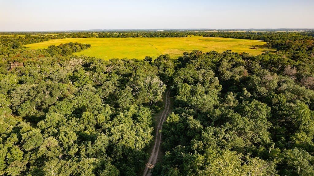 3.75 acres in Milam County gallery image 3