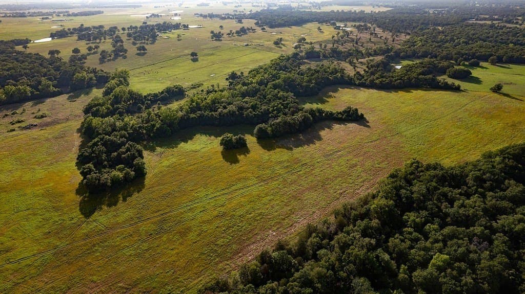 3.75 acres in Milam County gallery image 4