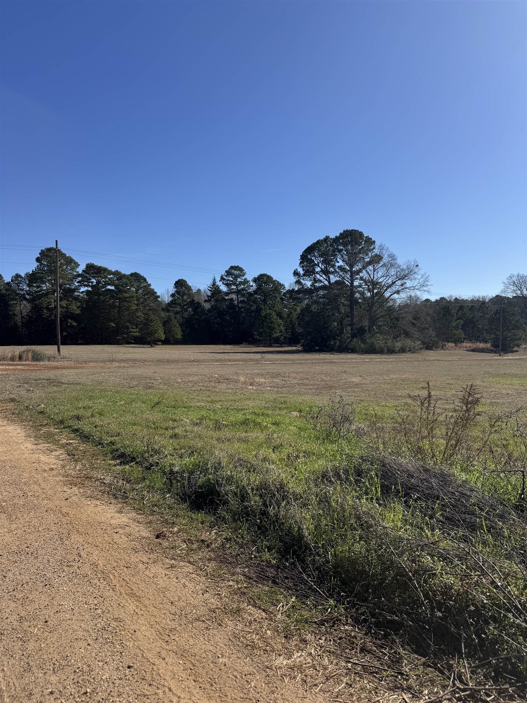 10.38 acres in Wood County - photo 17