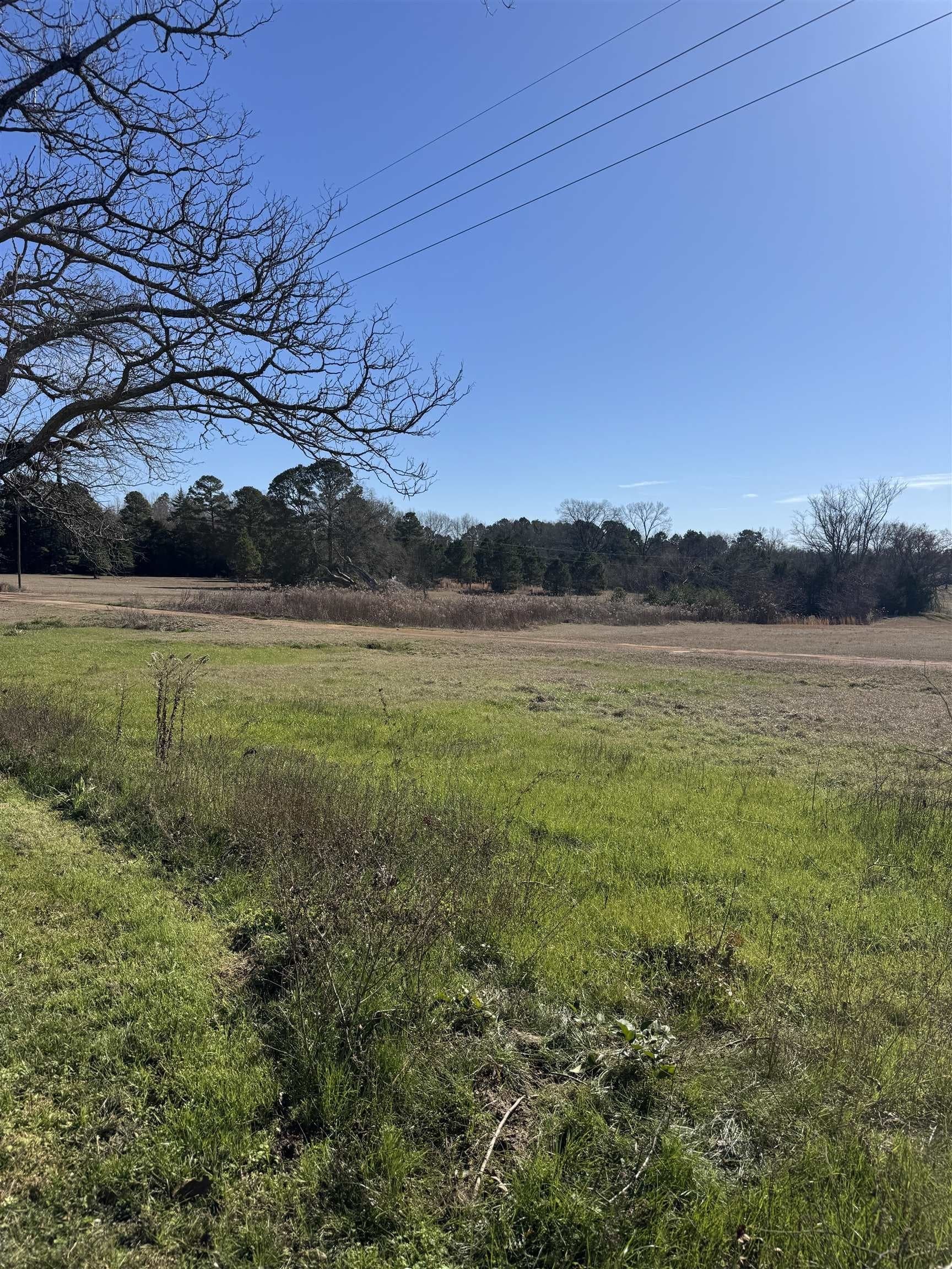 10.38 acres in Wood County - photo 15