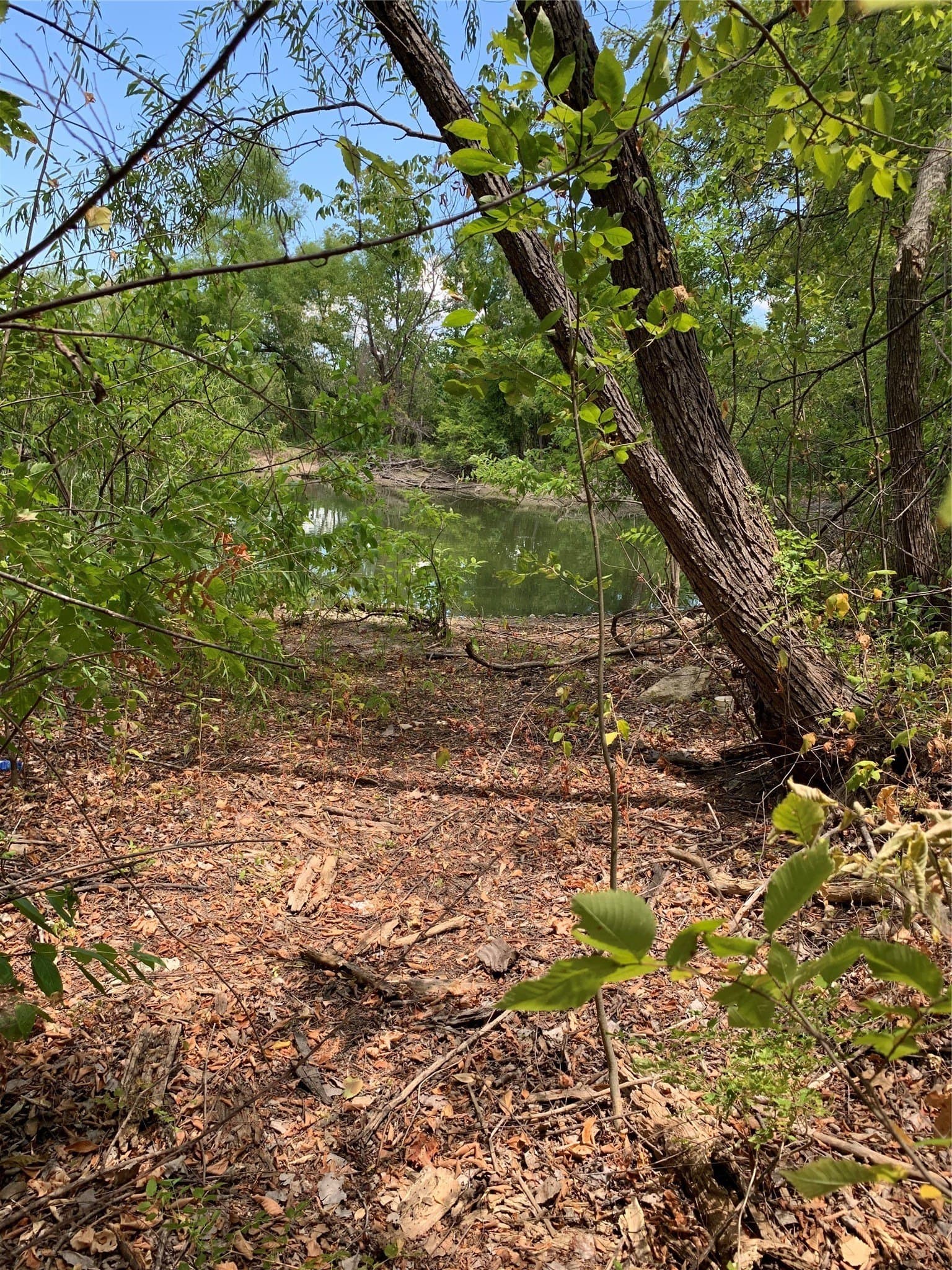 0.31 acres in Hunt County - photo 2