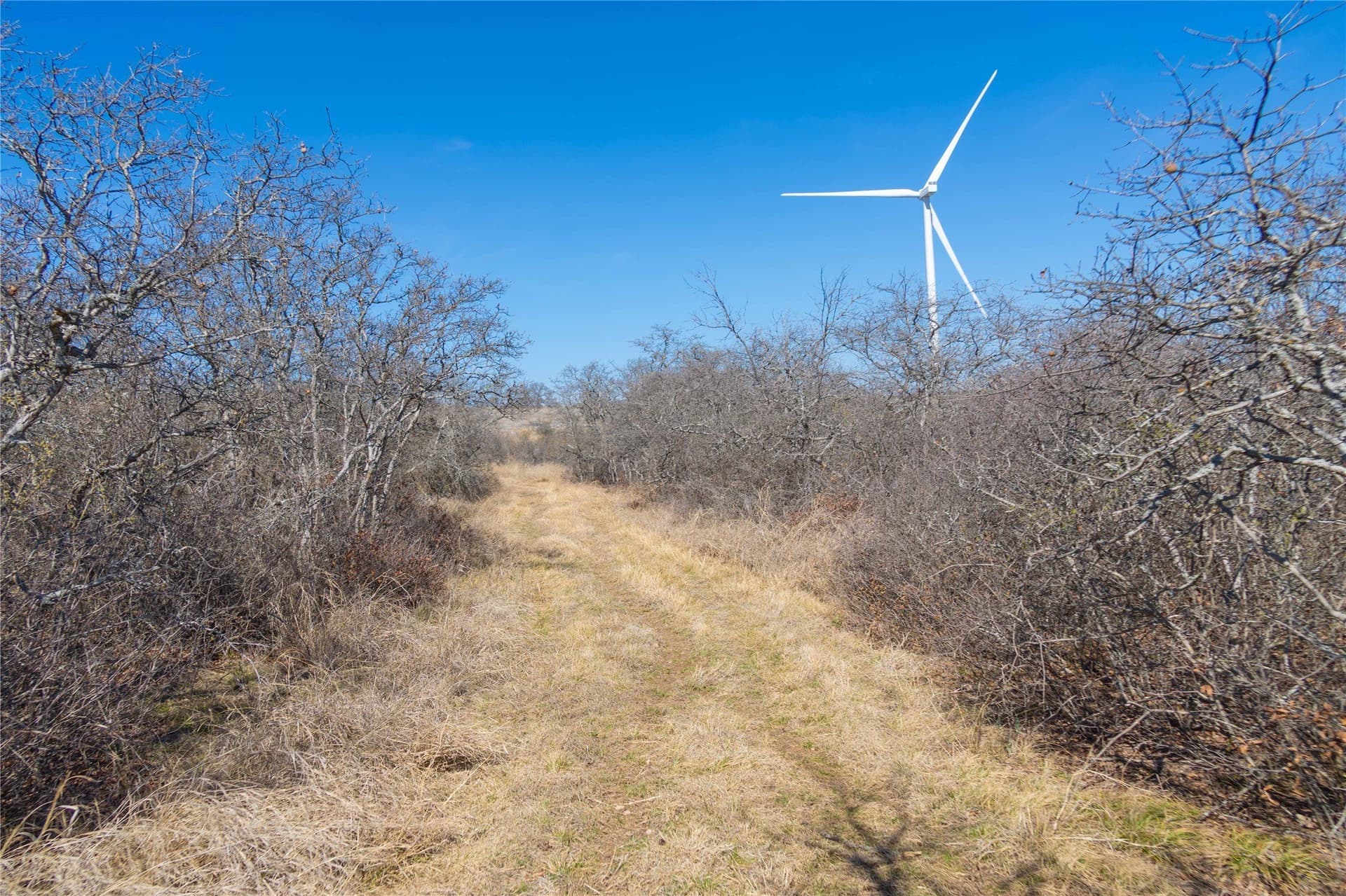 65.33 acres in Mills County - photo 36