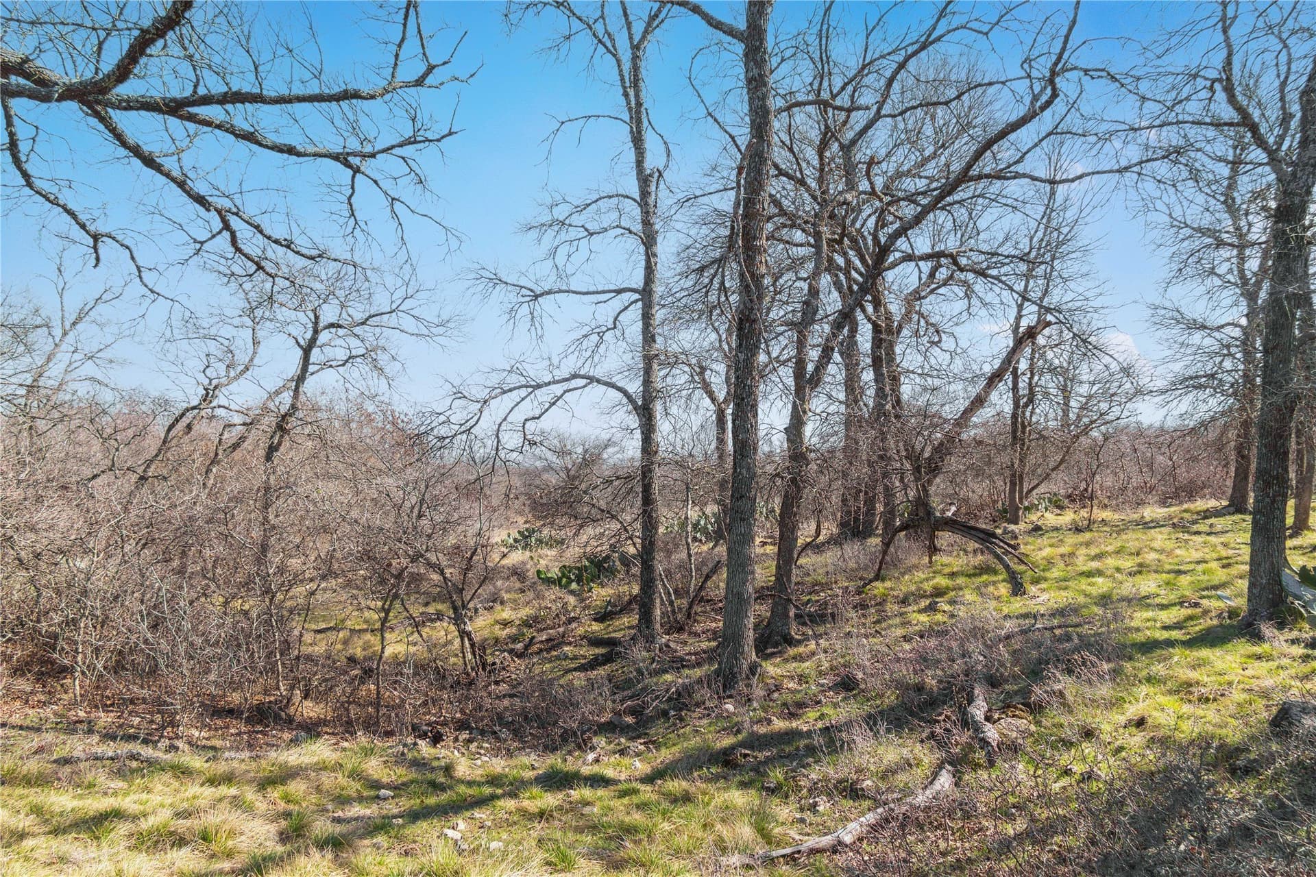 65.33 acres in Mills County - photo 39
