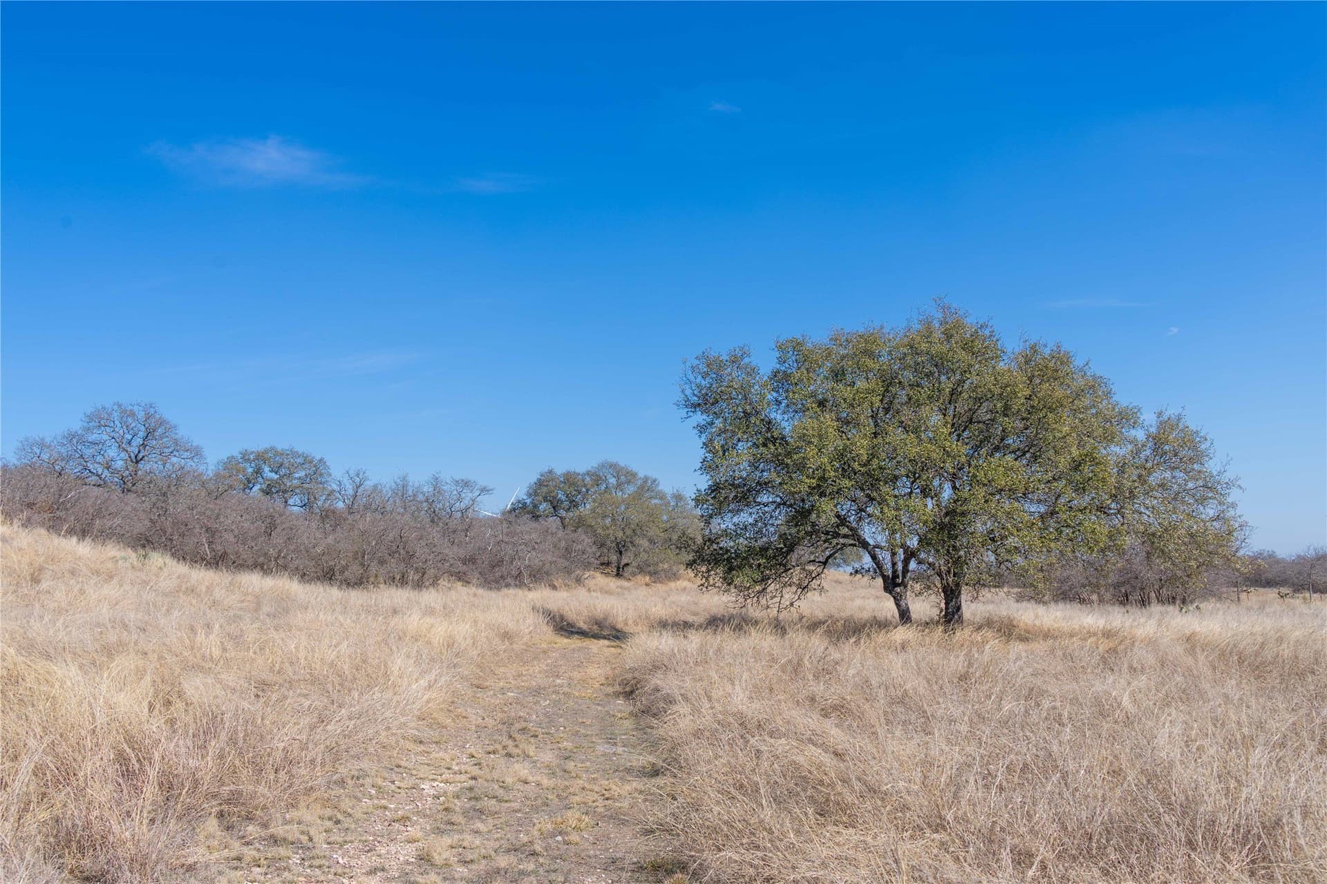 65.33 acres in Mills County - photo 32