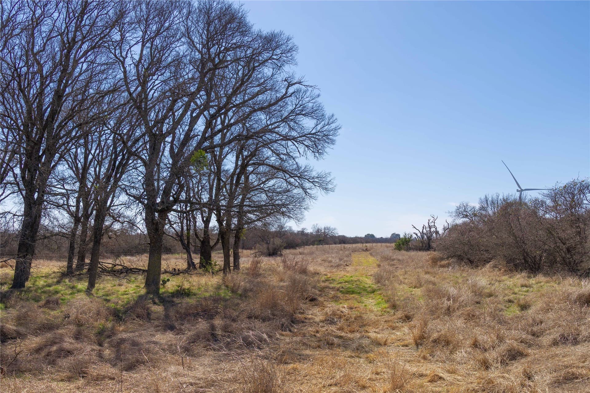 65.33 acres in Mills County - photo 34