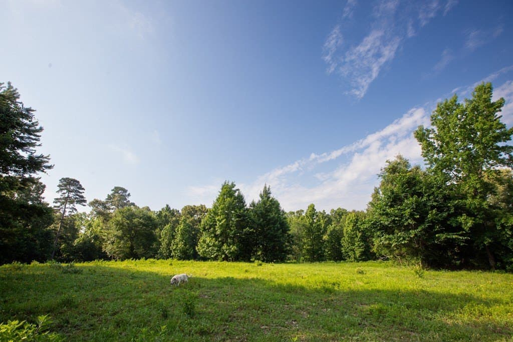 19.57 acres in ANDERSON County - photo 34