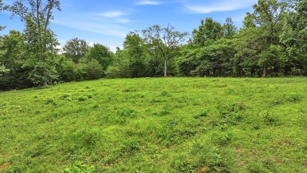 19.57 acres in ANDERSON County - photo 36