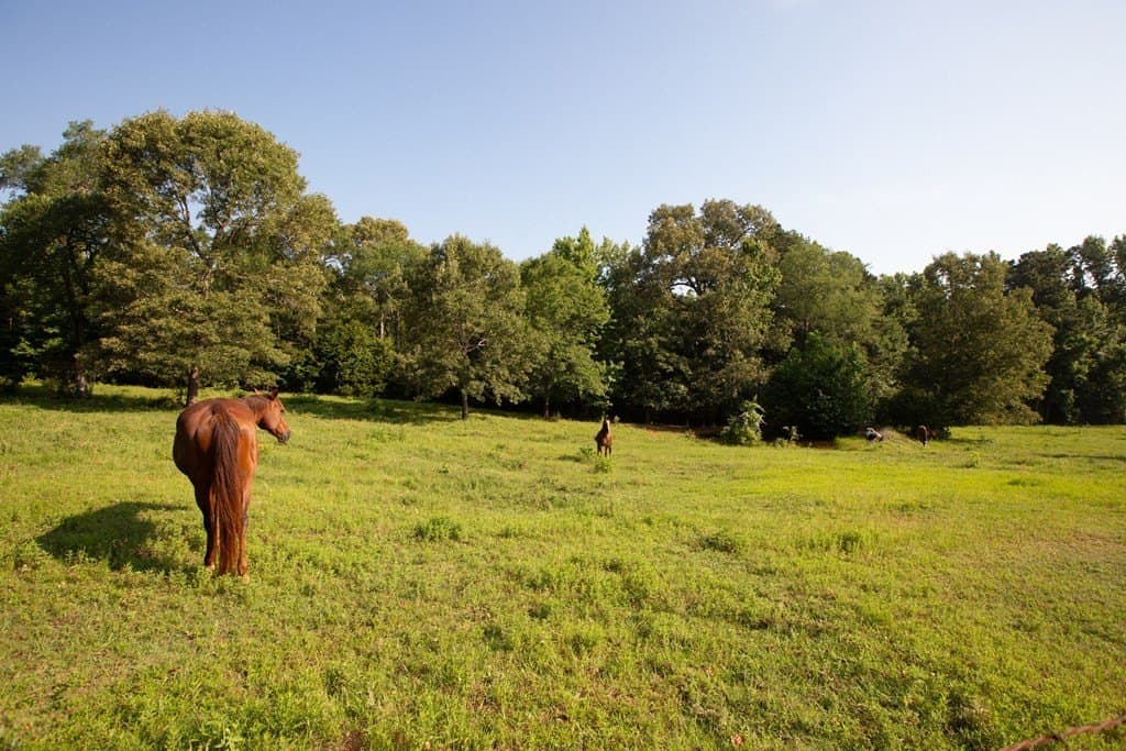 19.57 acres in ANDERSON County - photo 22
