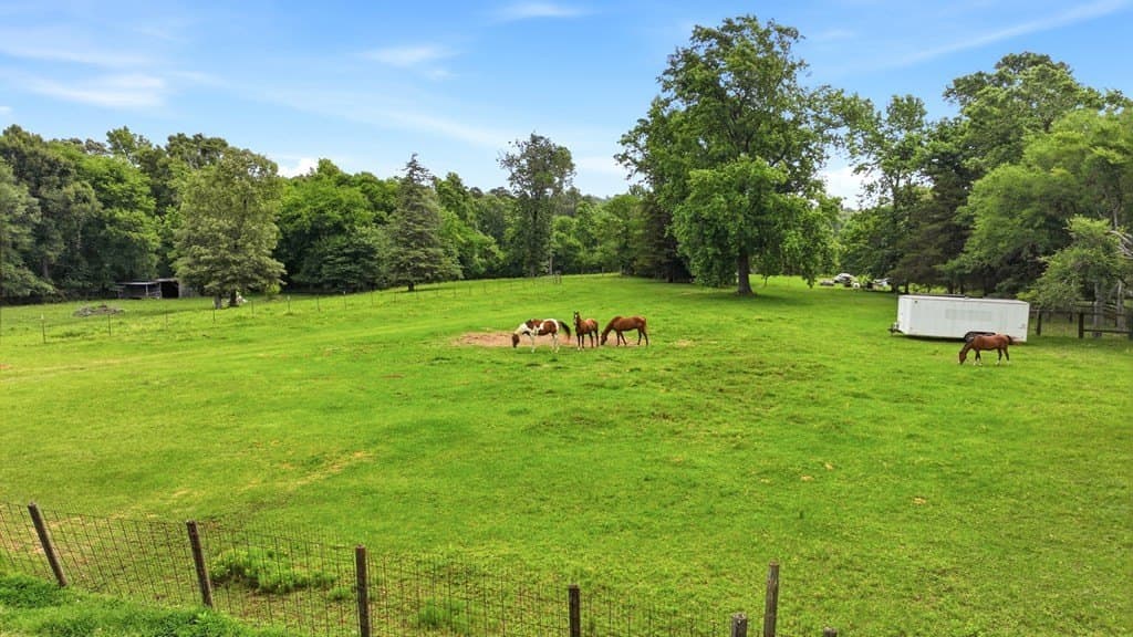 19.57 acres in ANDERSON County - photo 21