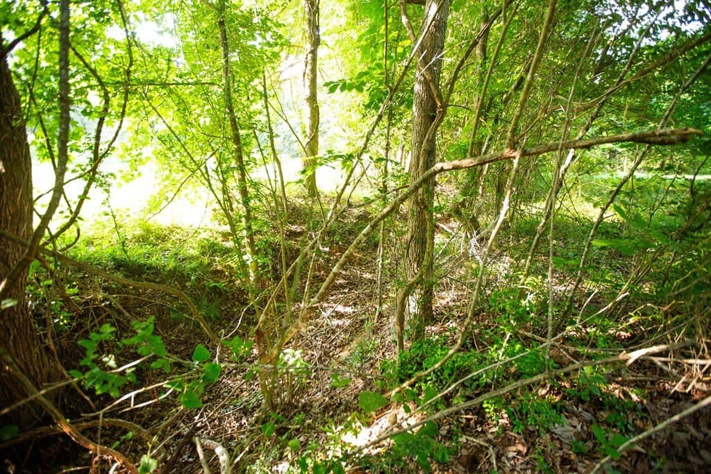 19.57 acres in ANDERSON County - photo 31