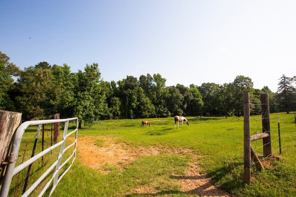 19.57 acres in ANDERSON County - photo 19