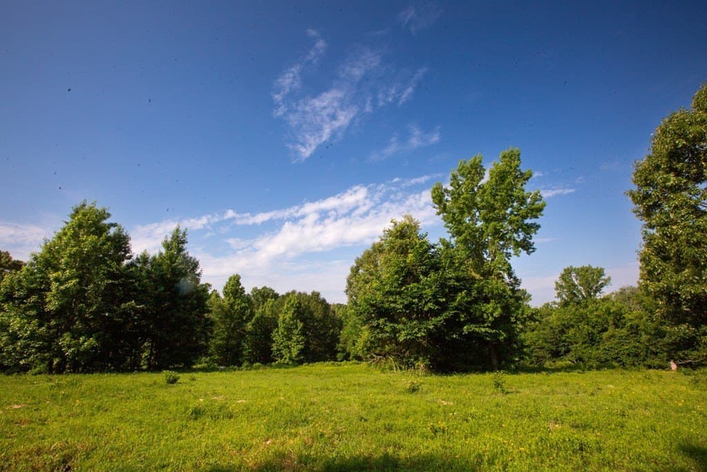 19.57 acres in ANDERSON County - photo 33