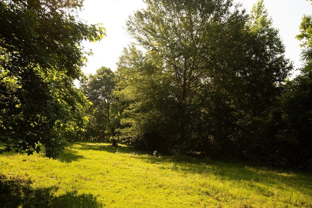 19.57 acres in ANDERSON County - photo 32