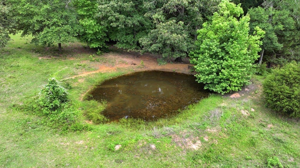 19.57 acres in ANDERSON County - photo 30