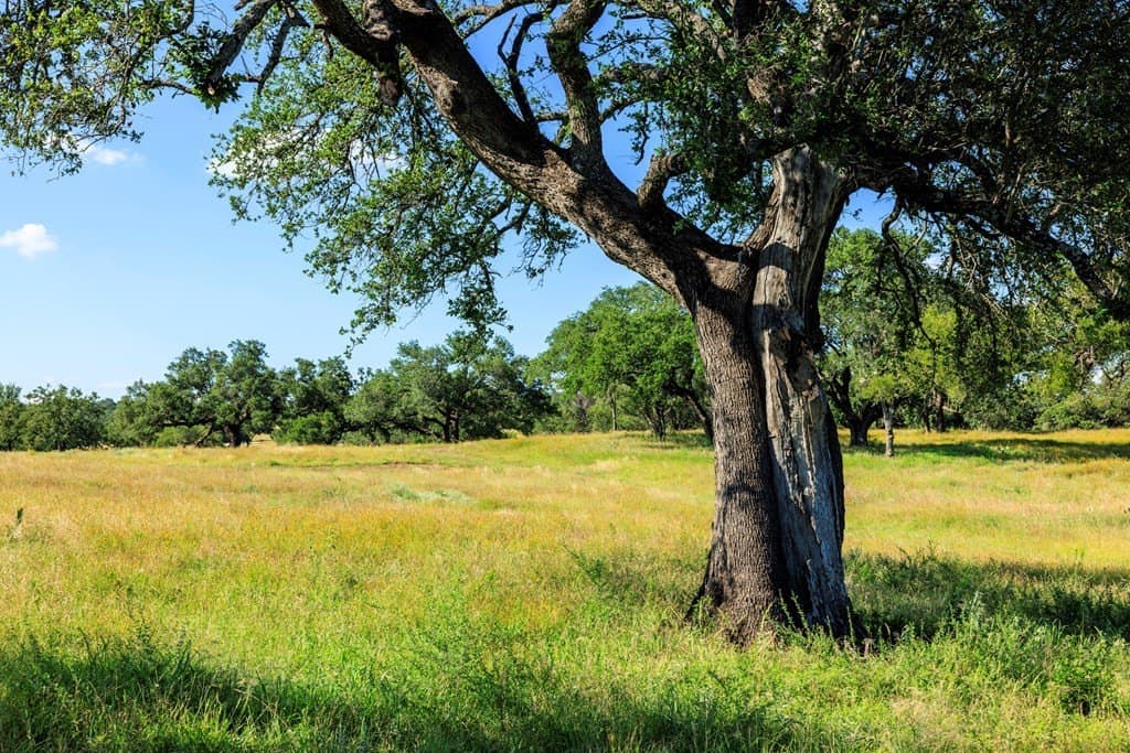 19.1 acres in Llano County featured view
