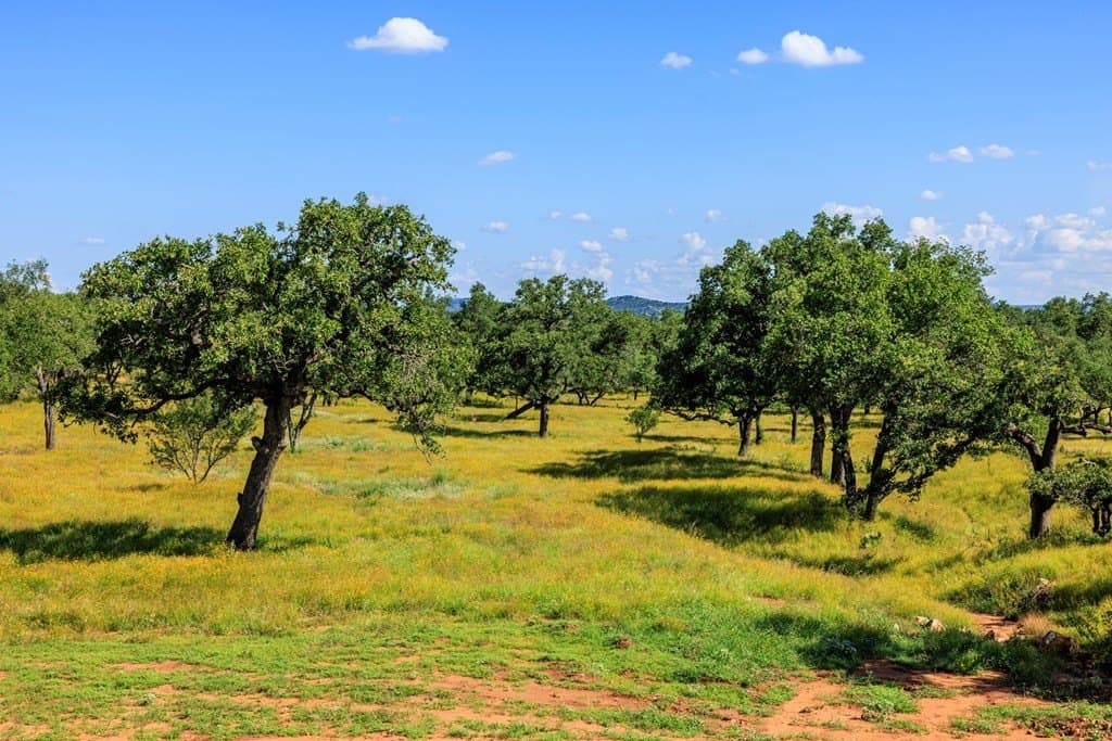 19.1 acres in Llano County gallery image 4